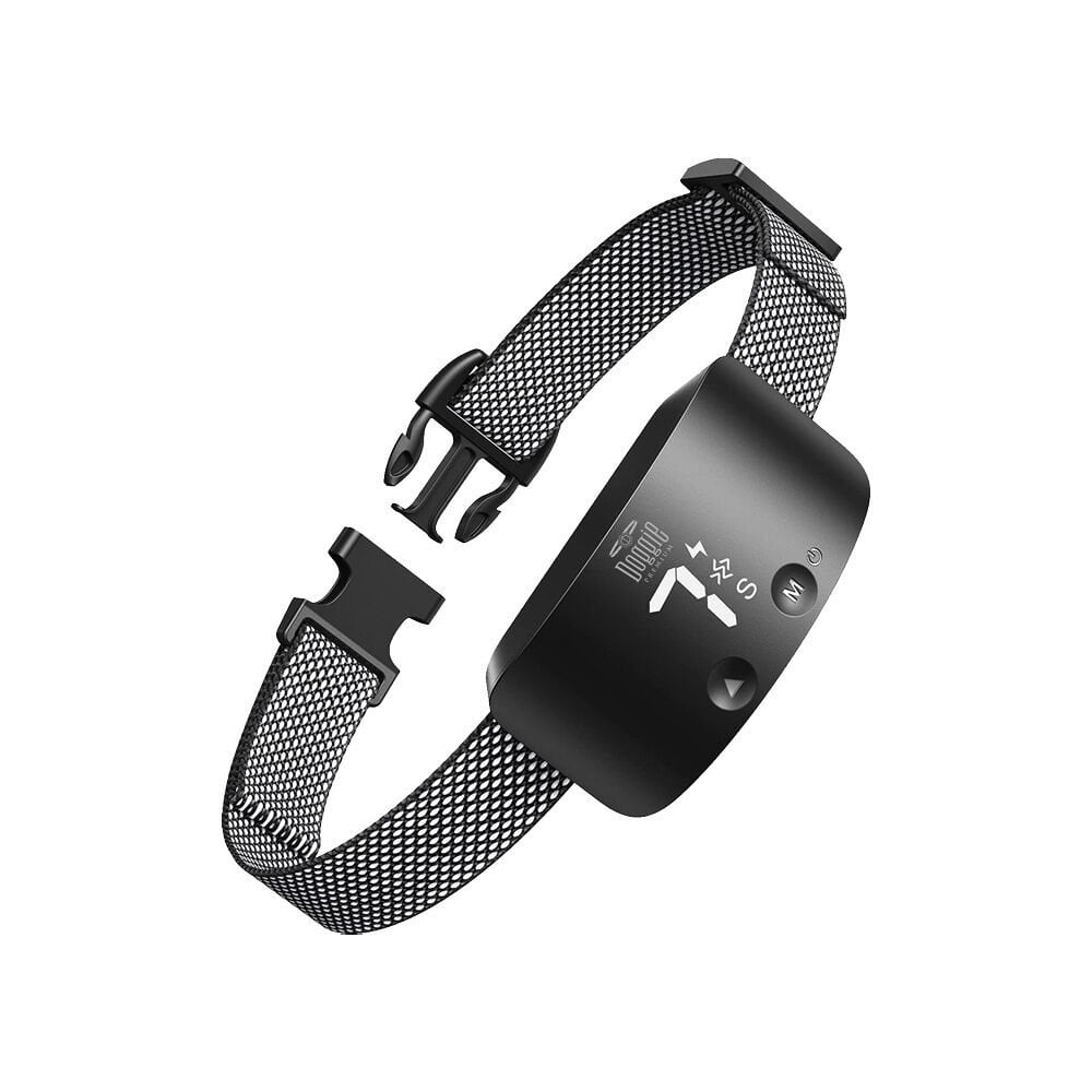 BARKTRAINBLACK-picture2Path