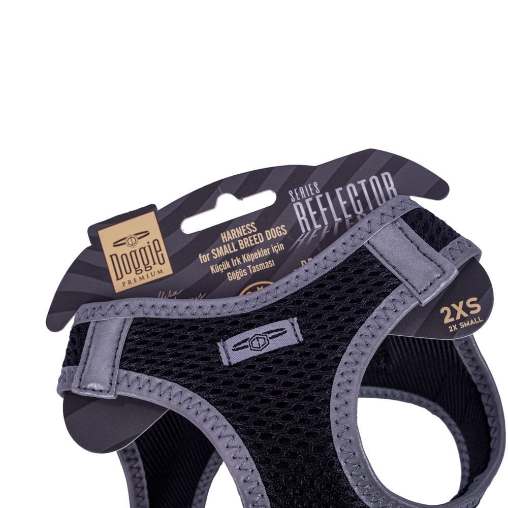 ARG2XSBLACK-picture3Path