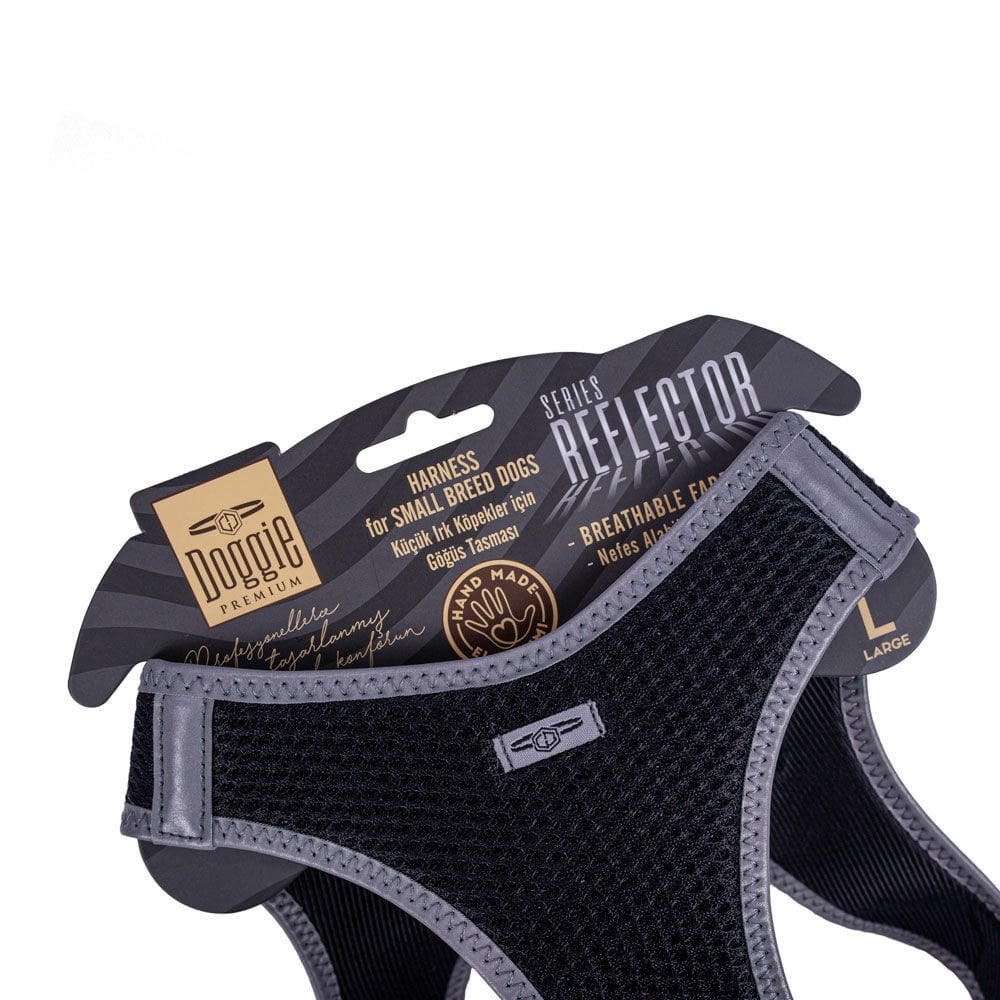 ARGLBLACK-picture3Path