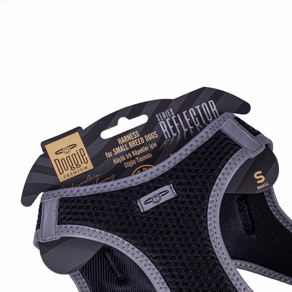 ARGSBLACK-picture3Path