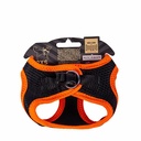 ANG2XSORANGE-picture2Path