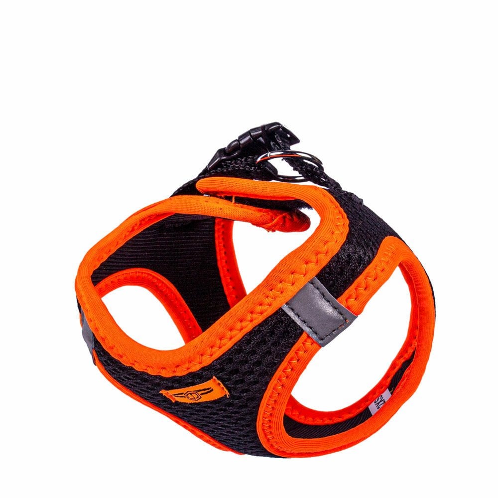 ANG2XSORANGE-picture4Path