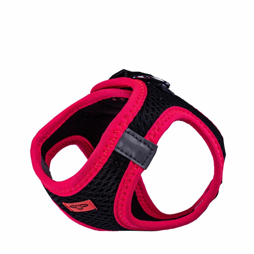 ANG2XSPINK-picture4Path
