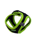 ANG2XSYELLOW-picture4Path