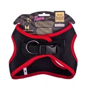 ANGMRED-picture2Path