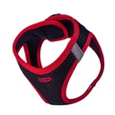 ANGMRED-picture4Path