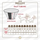 ECOLLARC3XL-picture3Path