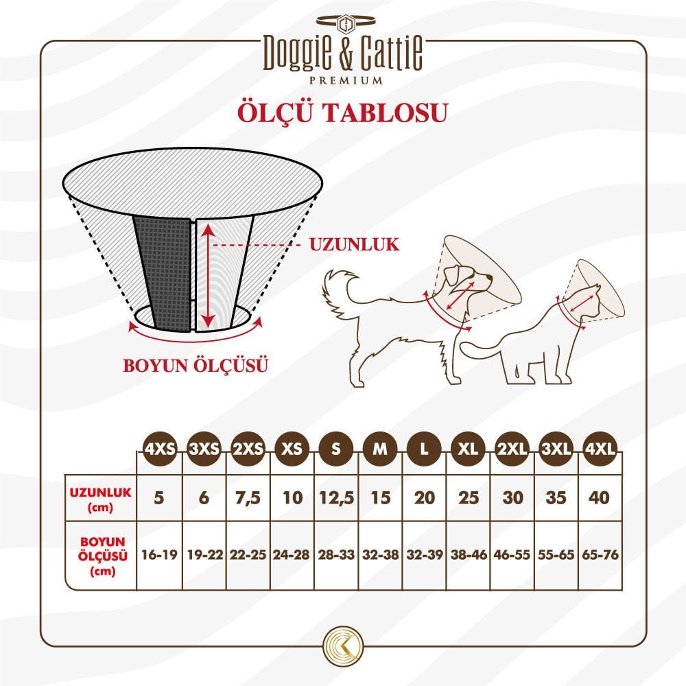 ECOLLARC4XL-picture3Path