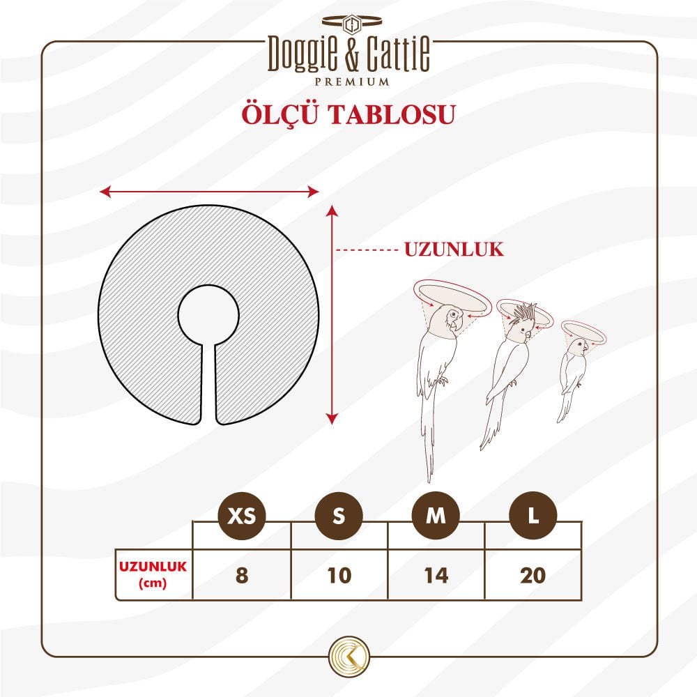 BIRDECOLLARS-picture2Path