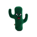 DTOY20KAKTUS-picture2Path