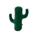 DTOY20KAKTUS-picture3Path