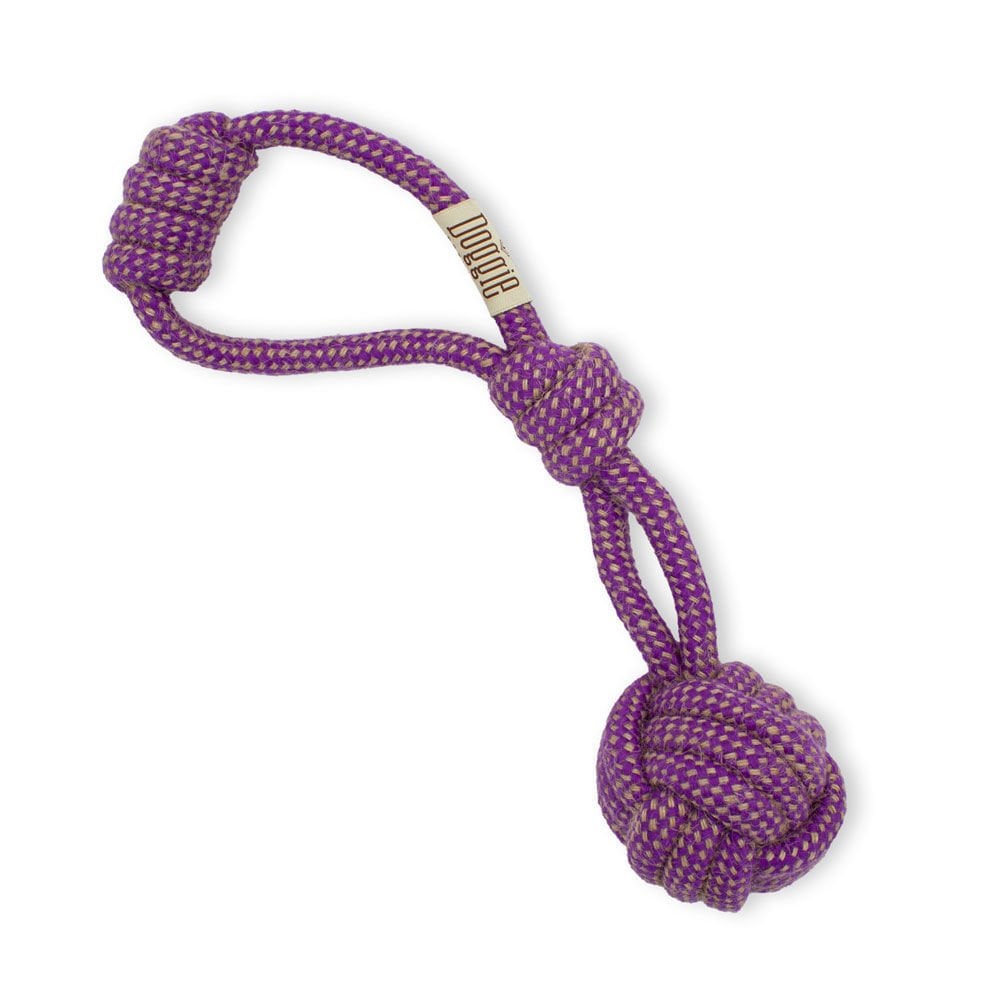 DTOY35HALATSAPAN-picture3Path