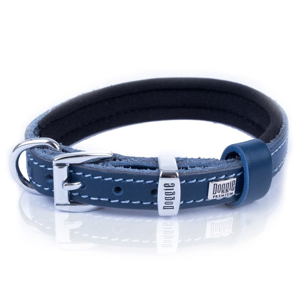 SBT1510MROYALBLUE-picture3Path