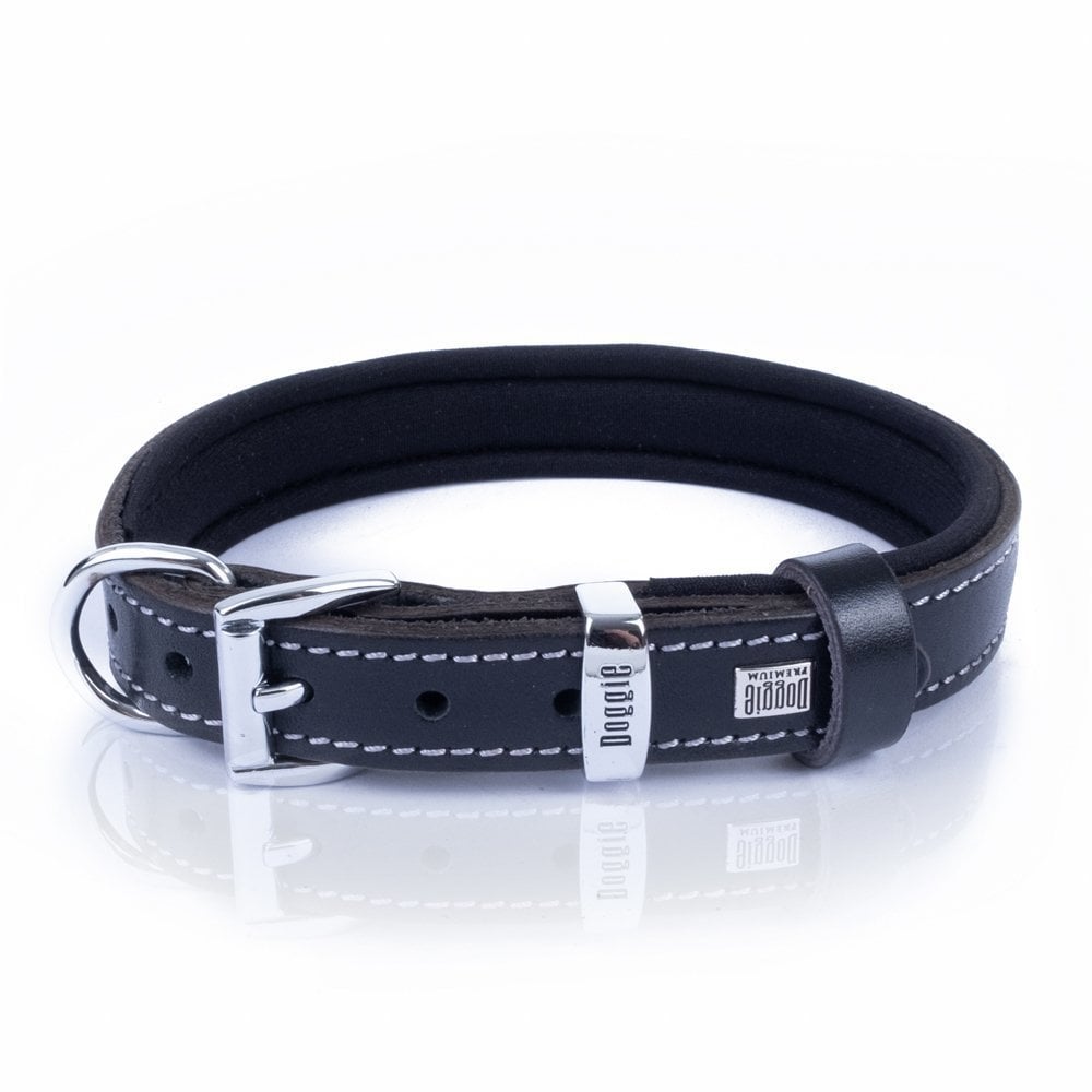 SBT2014MBLACK-picture4Path