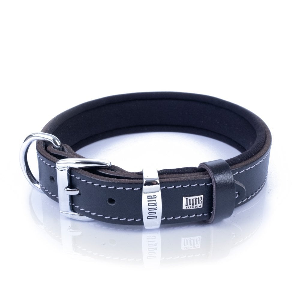 SBT2514MBLACK-picture4Path