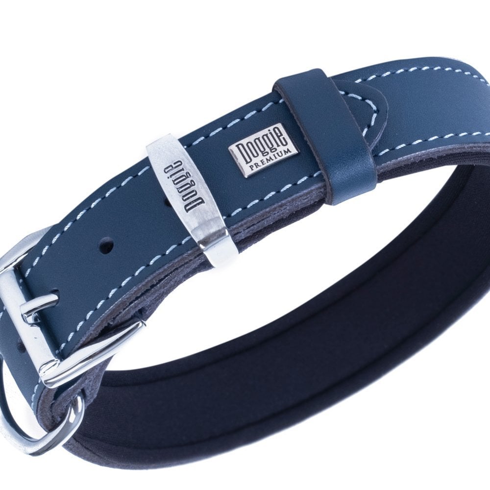 SBT3014MROYALBLUE-picture3Path