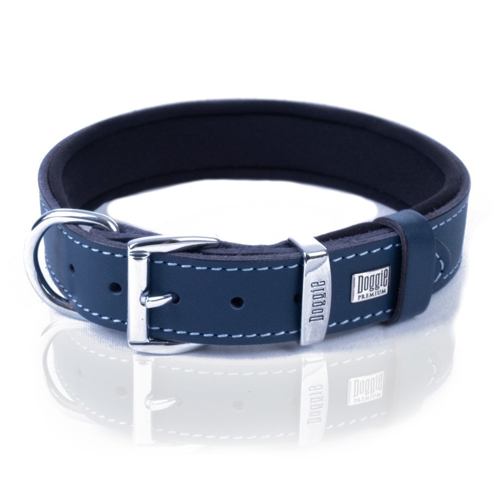SBT3014MROYALBLUE-picture4Path