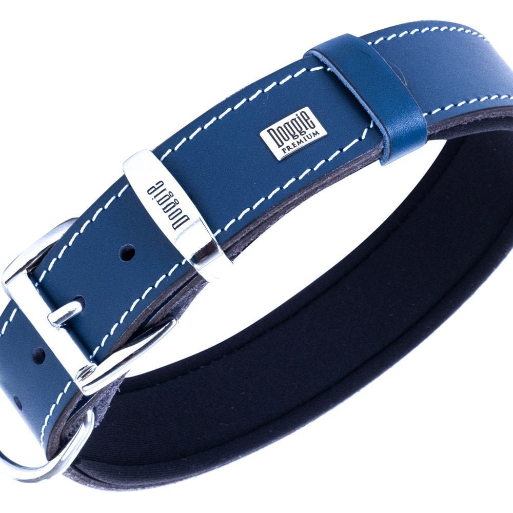 SBT4015MROYALBLUE-picture3Path