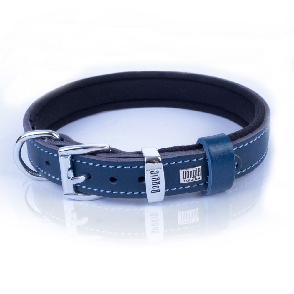 SBT2010SROYALBLUE-picture3Path