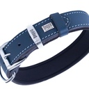SBT3035MROYALBLUE-picture2Path