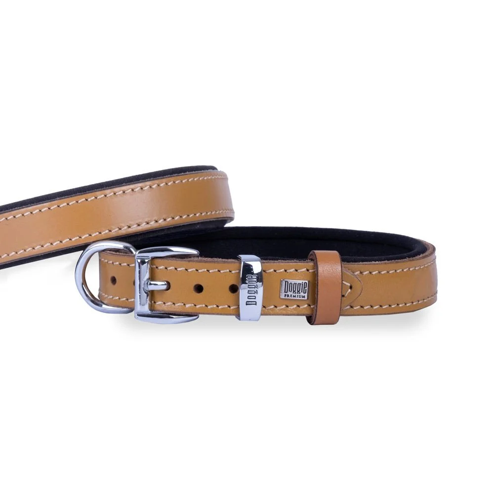 Doggie Deri Köpek Tasması 2x30-35cm