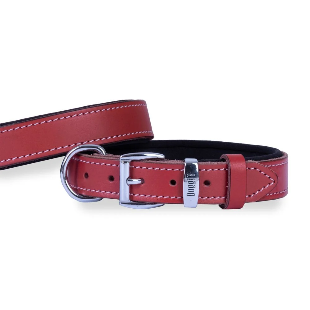 Doggie Deri Köpek Tasması 3x42-50cm