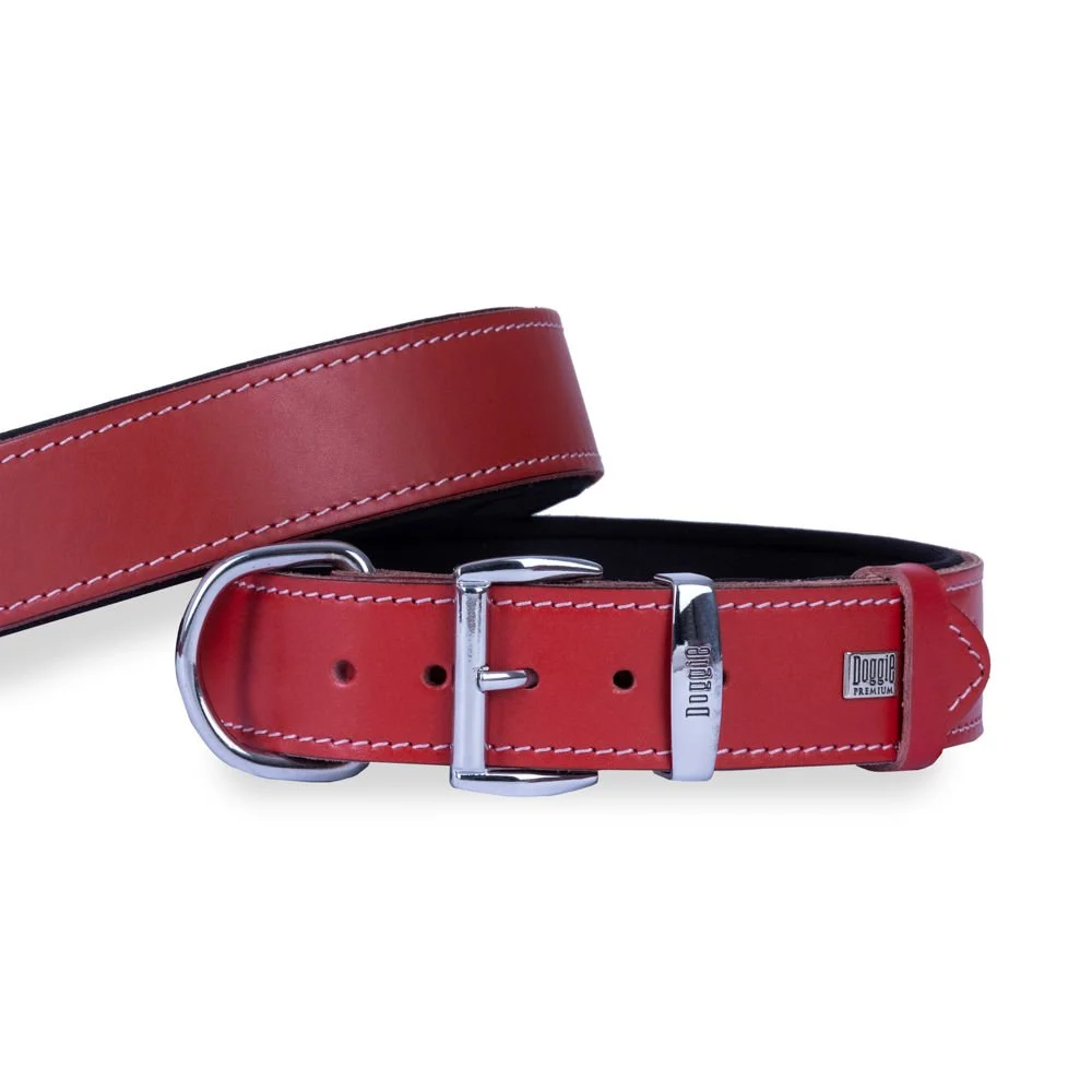 Doggie Deri Köpek Tasması 4x47-55cm