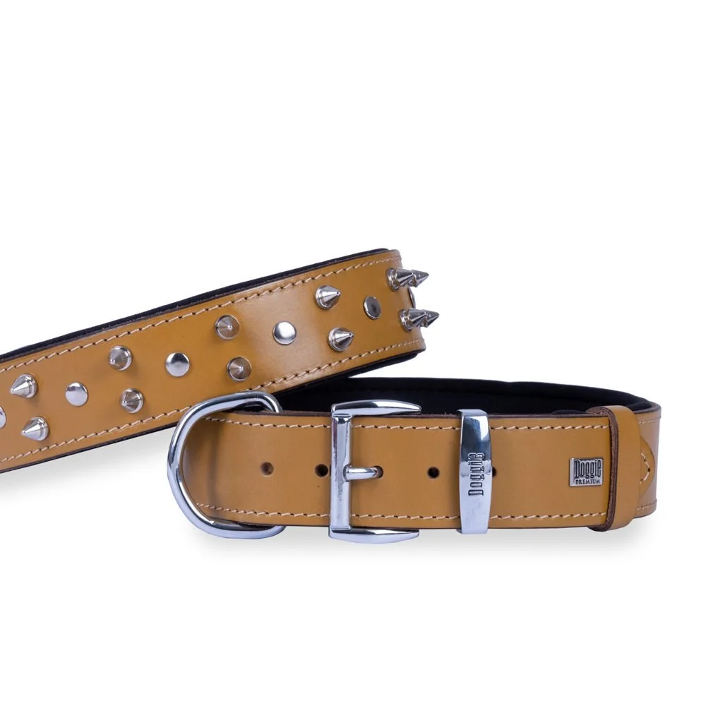 Doggie Çivili Deri Köpek Tasması 4x52-60cm