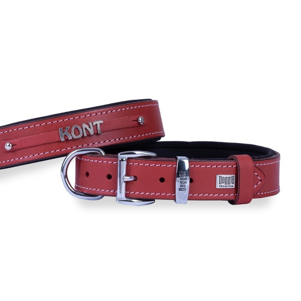 Doggie İsimlikli Deri Köpek Tasması 3x42-50cm