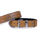 Doggie Çift Sıra İsimlikli Deri Köpek Tasması 3.5x52-60cm