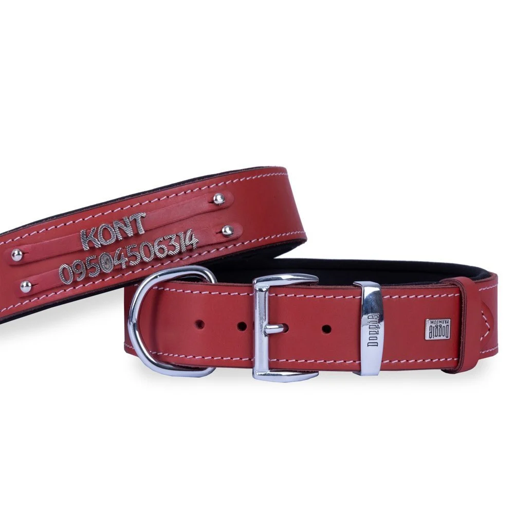 Doggie Çift Sıra İsimlikli Deri Köpek Tasması 4x52-60cm