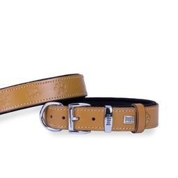 Doggie Pati Desenli Deri Köpek Tasması 2.5x37-45cm