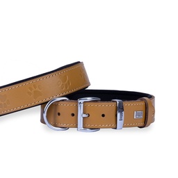 Doggie Pati Desenli Deri Köpek Tasması 3.5x52-60cm