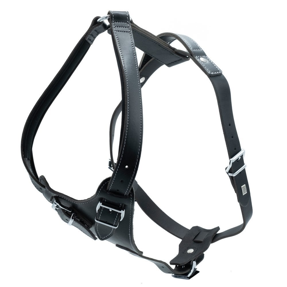 [DRGMBLACK] Doggie Dragon Deri Köpek Göğüs Tasması M 65-75cm