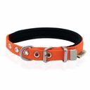 Doggie Webbing Dog Collar 1.5x25-30cm