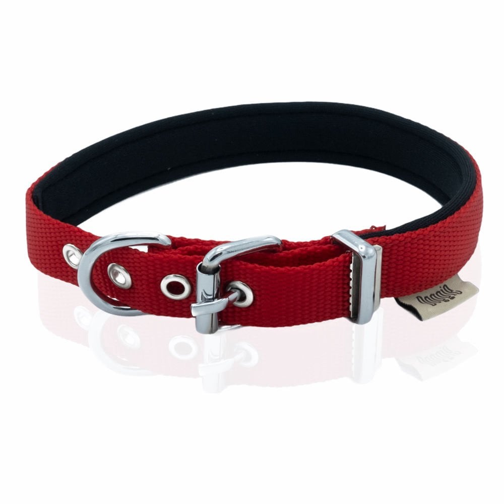 Doggie Dokuma Köpek Tasması 2x30-35cm