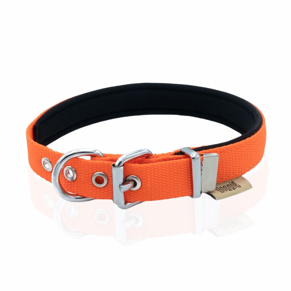 Doggie Dokuma Köpek Tasması 2x35-40cm