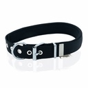 Doggie Webbing Dog Collar 2.5x37-45cm