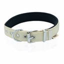 Doggie Webbing Dog Collar 2.5x42-50cm