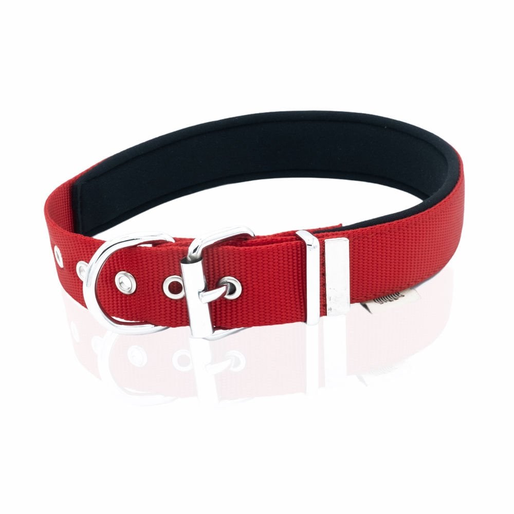 Doggie Dokuma Köpek Tasması 3x42-50cm