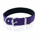 Doggie Webbing Dog Collar 3x47-55cm