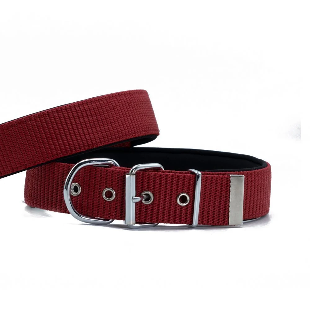 Doggie Palaska Köpek Tasması 4x47-55cm