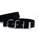 Doggie Palaska Köpek Tasması 4x57-65cm