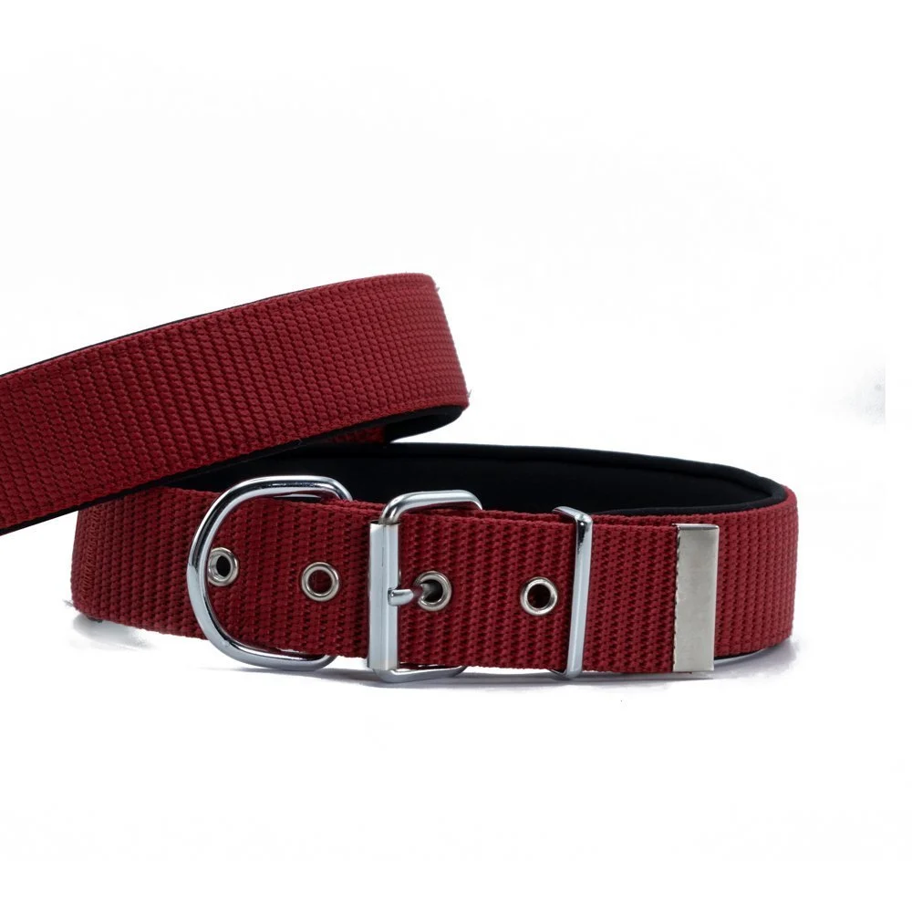 Doggie Palaska Köpek Tasması 5x55-65cm