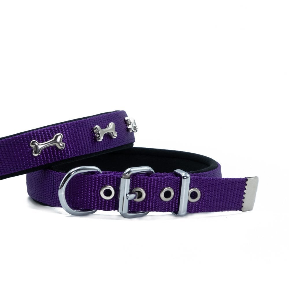 Doggie Kemik Süslü Dokuma Köpek Tasması 2x30-35cm
