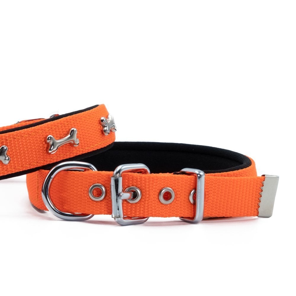Doggie Kemik Süslü Dokuma Köpek Tasması 2x35-40cm