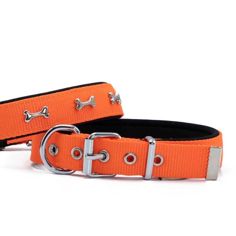 Doggie Kemik Süslü Dokuma Köpek Tasması 2.5x37-45cm