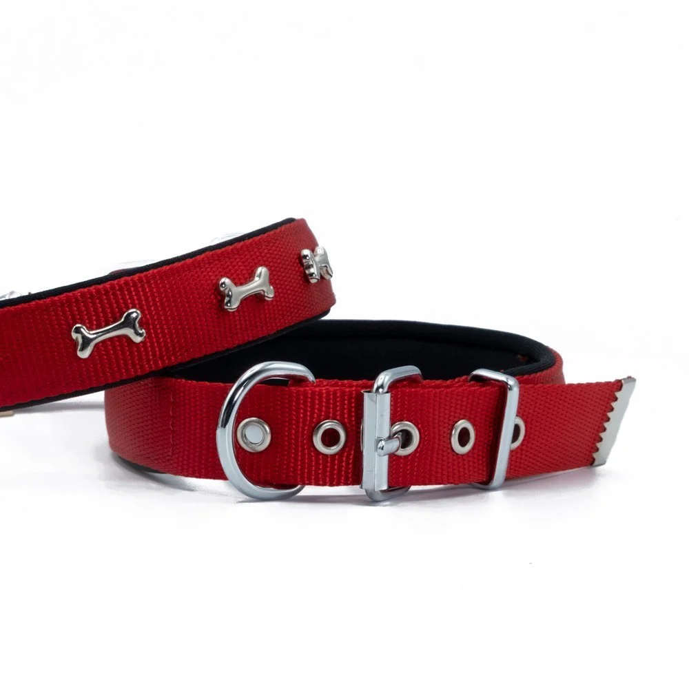 Doggie Kemik Süslü Dokuma Köpek Tasması 2.5x42-50cm
