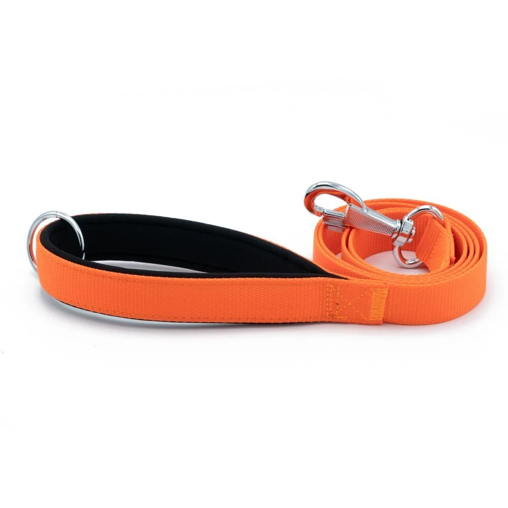 Doggie Webbing Dog Leash 2.5x120cm