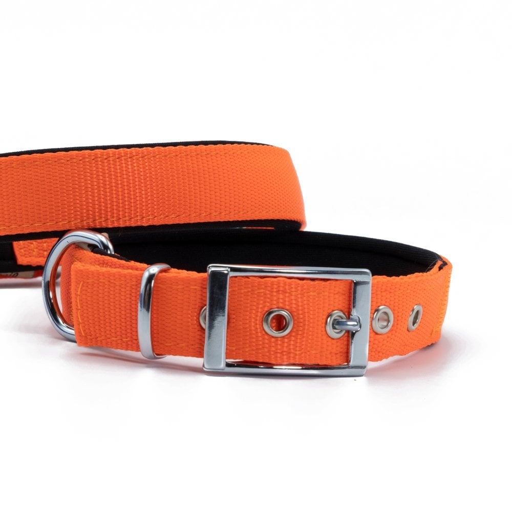 Doggie Elit Dokuma Köpek Tasması 2.5x42-50cm